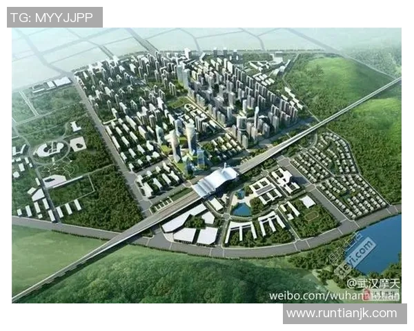 武汉网球队战术分析与表现评估全景解读